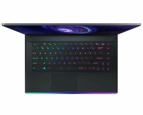 MSI GE66 Raider (11UH-219FR)