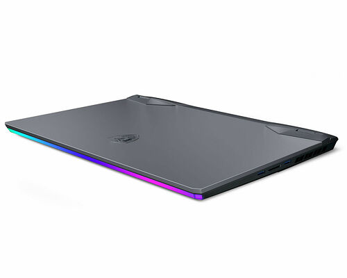 MSI GE66 Raider (11UH-219FR)