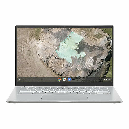 Asus Chromebook Pro 14 (C425TA-AJ0093)