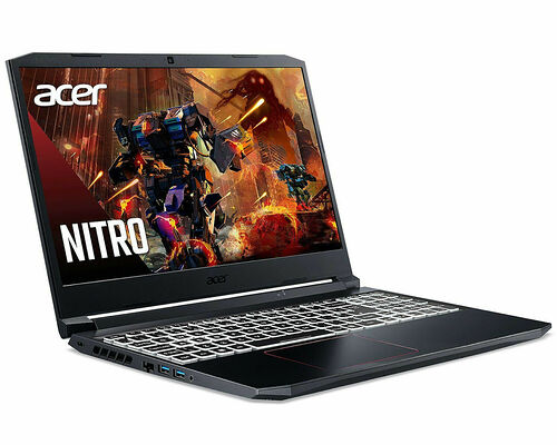 Acer Nitro 5 (AN515-55-71JV)