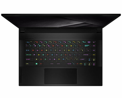 MSI GS66 Stealth (10UH-488FR)