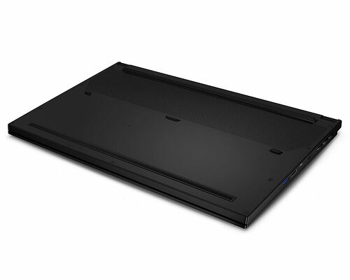 MSI GS66 Stealth (10UH-488FR)