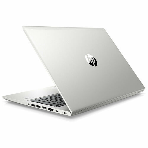 HP ProBook 455 G7 (175S3EA)