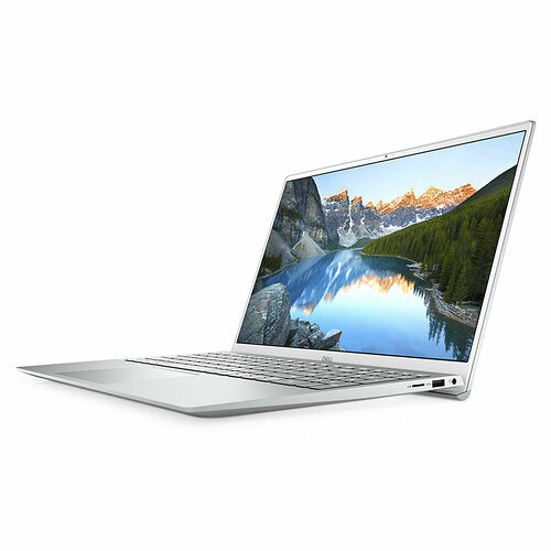 Dell Inspiron 15 (5502-918)