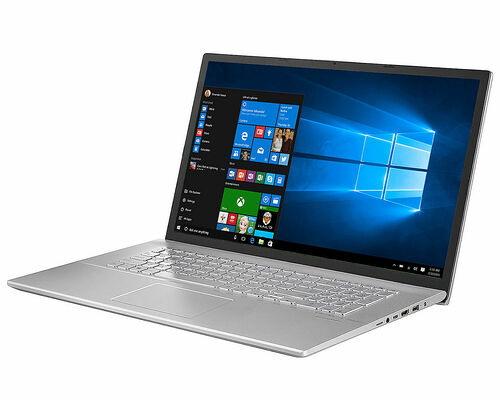 Asus Pro P17 (P1701JA-AU117R)