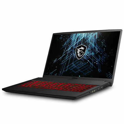MSI GF75 Thin (10UD-091FR)