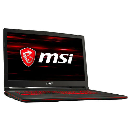 MSI GL73 8SE-017XFR
