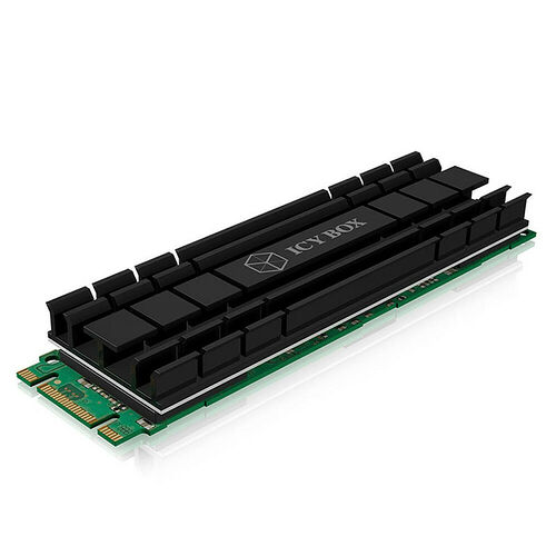 Icy Box IB-M2HS-701