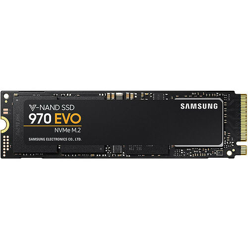 Samsung Série 970 EVO 500 Go