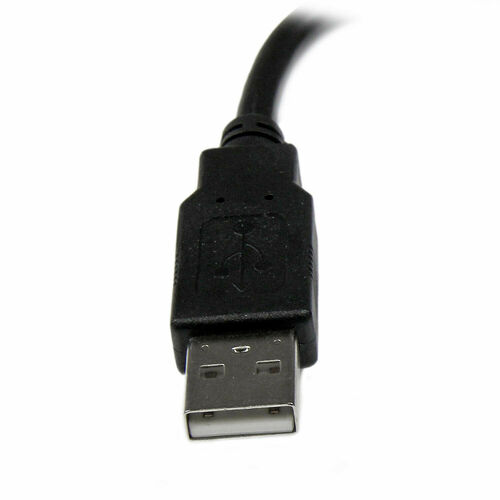 Rallonge USB 2.0 Type A - 15 cm - Startech