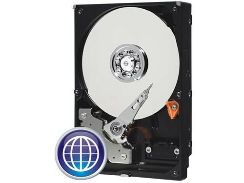 Western Digital WD Blue 500 Go