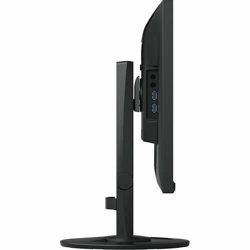 EIZO FlexScan EV2460