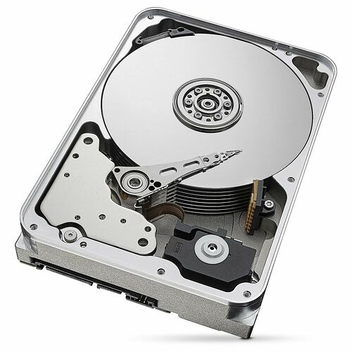 Seagate SkyHawk AI 10 To