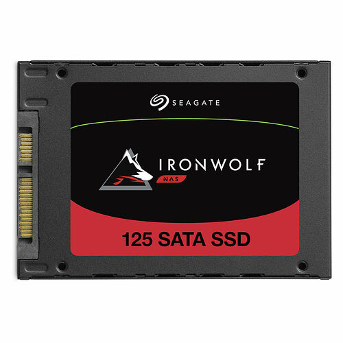 Seagate IronWolf 125 250 Go