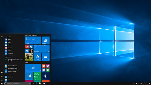 Microsoft Windows 10 Professionnel - 32/64 bits (version Clé USB)