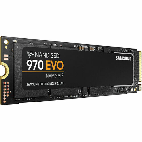 Samsung Série 970 EVO 500 Go