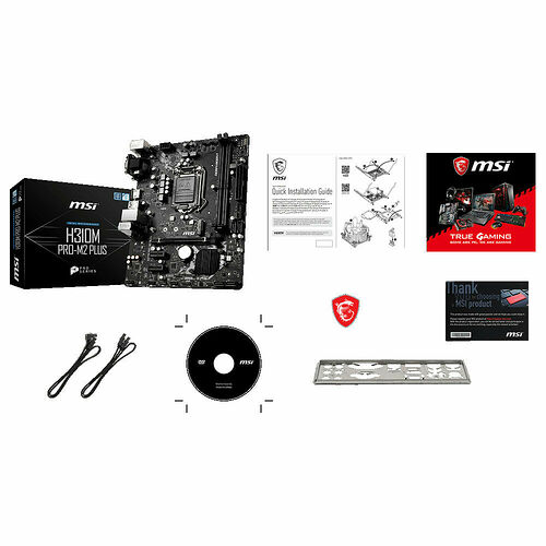 MSI 	H310M PRO-M2 PLUS