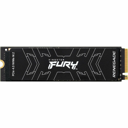 Kingston FURY Renegade 1 To