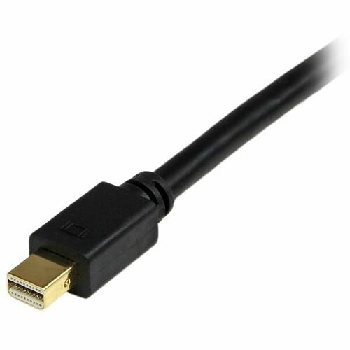 Startech Câble Mini DisplayPort / DVI-D - Noir - 1.8 m