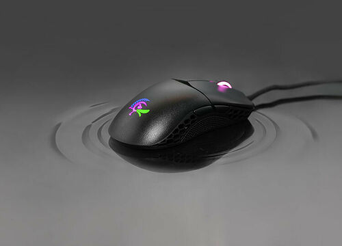 Ducky Channel Feather