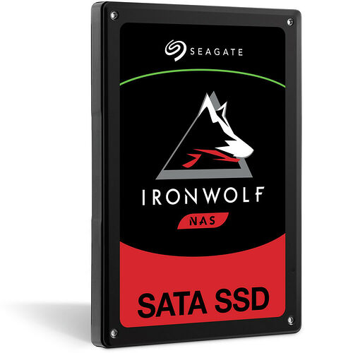 Seagate IronWolf 110 480 Go