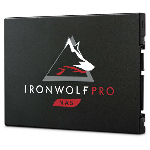Seagate IronWolf Pro 125 480 Go