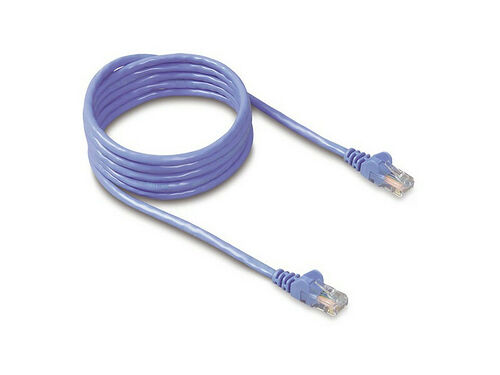 Câble ethernet RJ45 CAT6 STP - 50 cm - Bleu - Belkin
