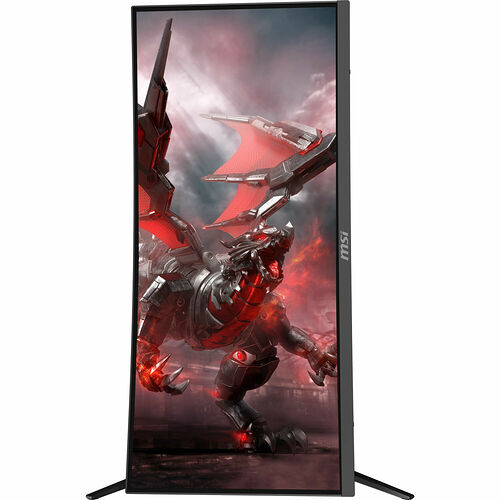 MSI Optix MAG301CR2 FreeSync (dalle incurvée)