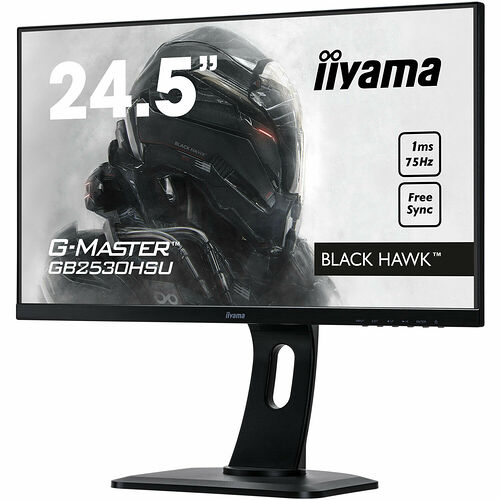 Iiyama G-Master GB2530HSU-B1 FreeSync