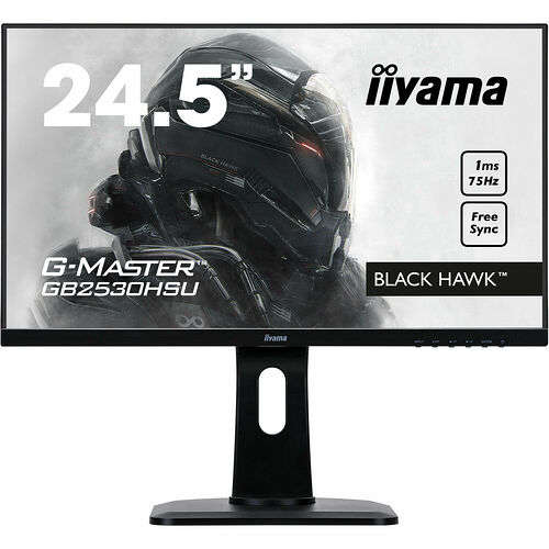 Iiyama G-Master GB2530HSU-B1 FreeSync