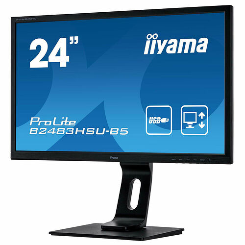 Iiyama ProLite B2483HSU-B5