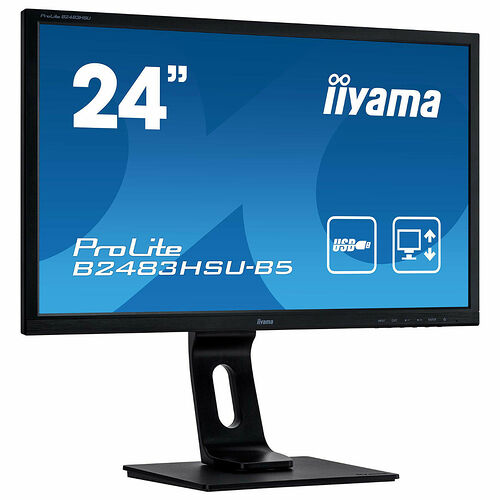 Iiyama ProLite B2483HSU-B5