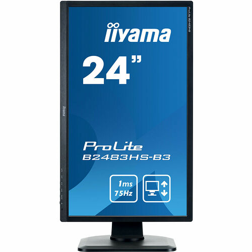 Iiyama ProLite B2483HS-B3