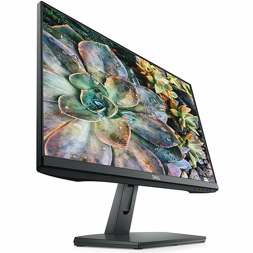 Dell SE2219H