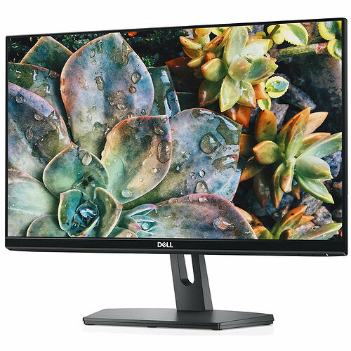 Dell SE2219H