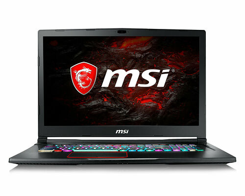 MSI GE73 8RF-030XFR Raider