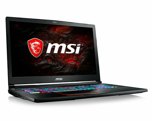 MSI GE73 8RF-030XFR Raider