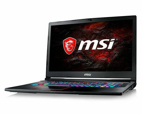 MSI GE73 8RF-030XFR Raider