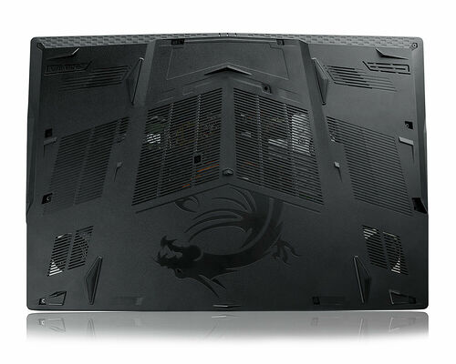 MSI GE73 8RF-030XFR Raider