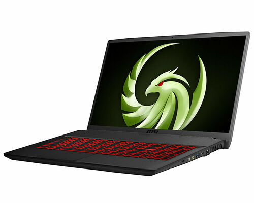 MSI Bravo 17 (A4DDR-024FR)