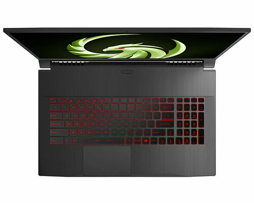 MSI Bravo 17 (A4DDR-024FR)