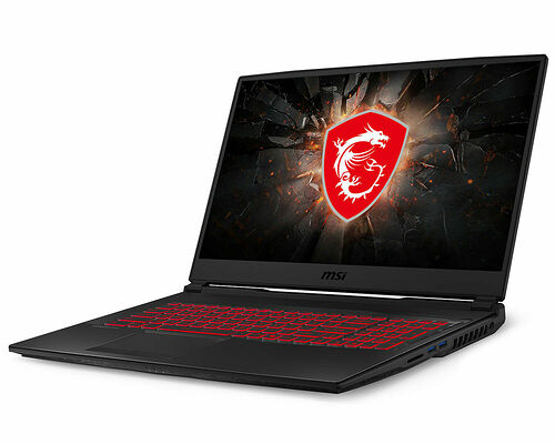 MSI GL75 10SER-266XFR Leopard