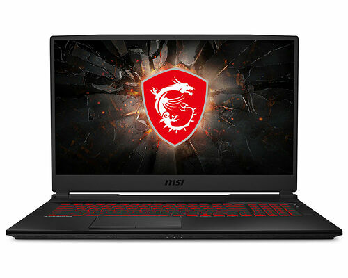 MSI GL75 10SER-266XFR Leopard