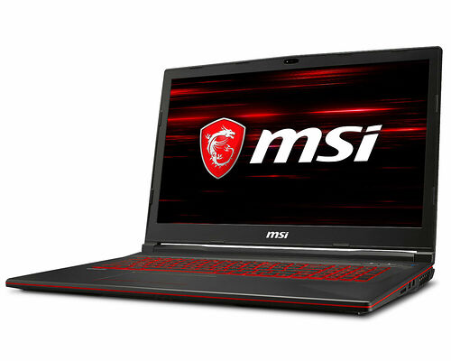 MSI GL73 8SE-017XFR