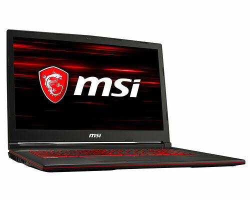 MSI GL73 8SE-017XFR