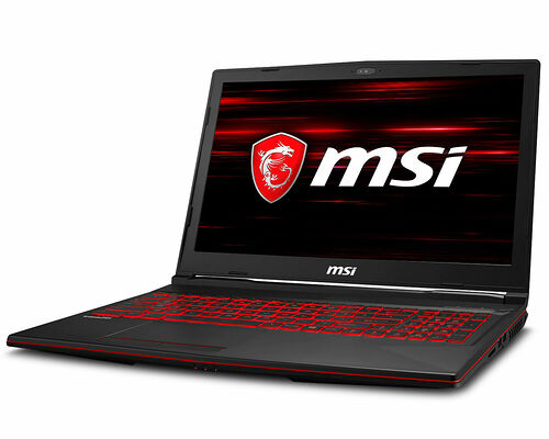 MSI GL63 8RE-616XFR