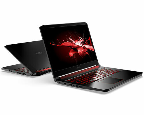 Acer Nitro 5 (AN515-43-R3A1)