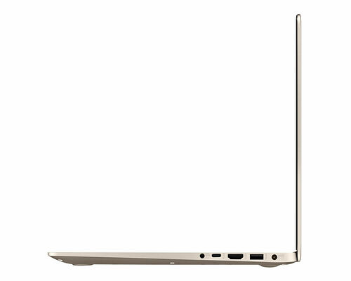 Asus VivoBook S15 (S510UQ-BQ166T) Or