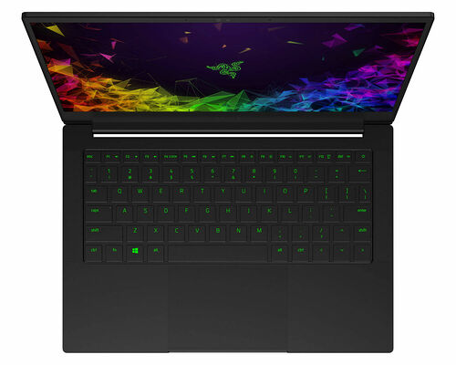 Razer Blade Stealth 13 (RZ09-02810F71-R3F1)