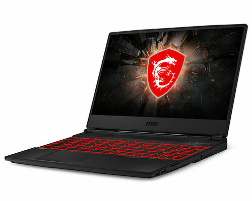 MSI GL65 9SE-223XFR